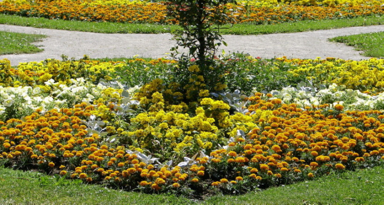 Im Hofgarten der Residenz